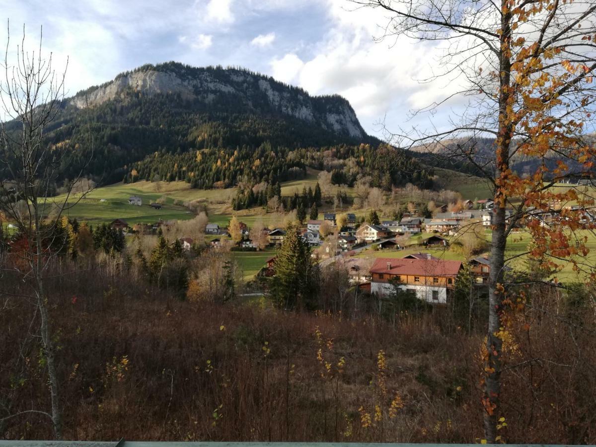 Schneerose Tauplitz